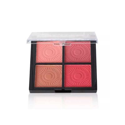 رژ گونه چهارتایی سایز بزرگ ارت اسکین ART SKIN BLUSH MATT COLOR